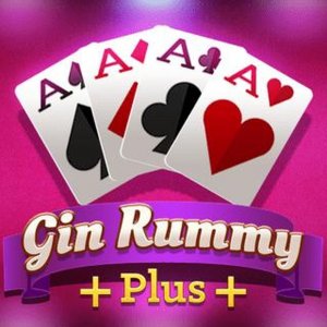 Gin Rummy Challenge