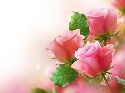 Rose Petal Jigsaw Challenge