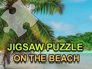 Coastal Puzzle Assembly