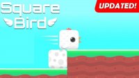 Cubic Bird Stack Challenge