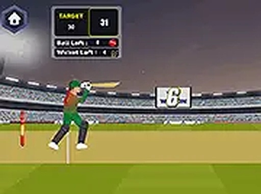 T20 Cricket Arcade Game
