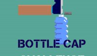 Bottle Twist Physics Challenge